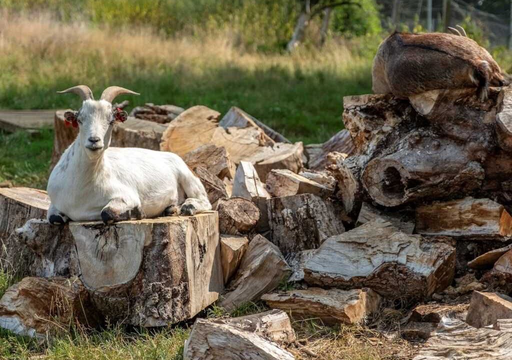Photo of Others in Verruyes
