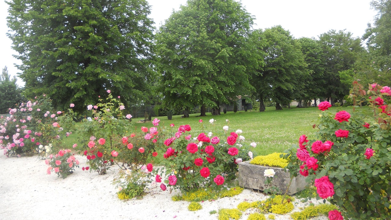 Photo of Outdoor in Saint-Martial-de-Vitaterne