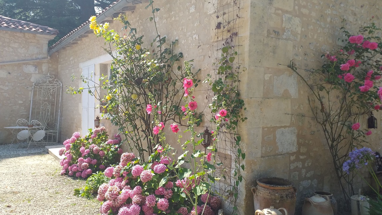 Photo of Outdoor in Saint-Martial-de-Vitaterne
