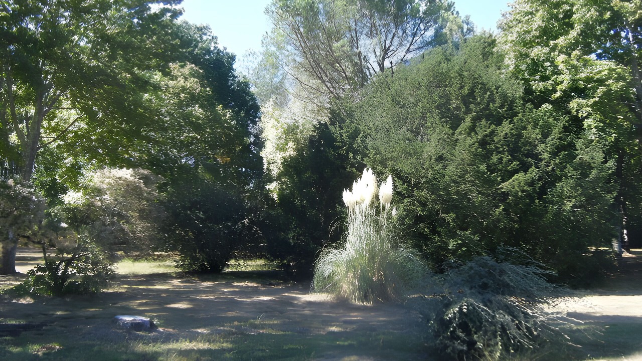 Photo of Outdoor in Lesperon