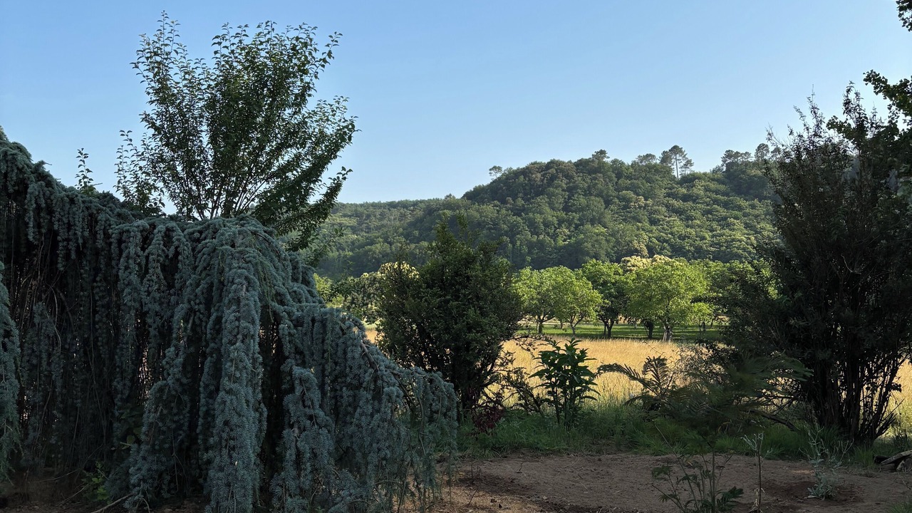 Photo of Others in Calviac-en-Perigord