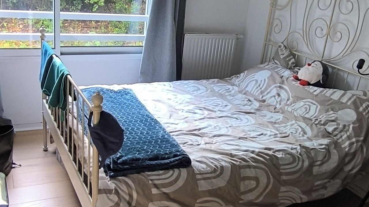 Photo of Bedroom in Begles