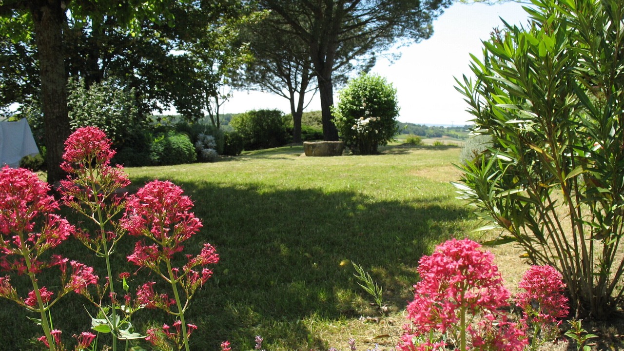 Photo of Outdoor in Saint-Martial-de-Mirambeau