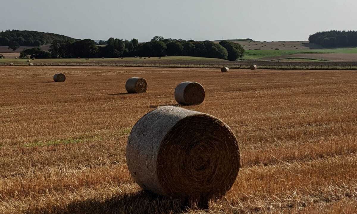 Photo of Others in Challignac