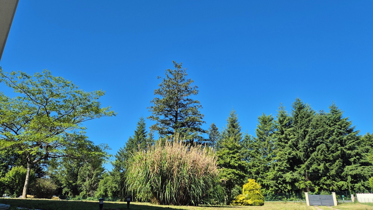 Photo of Outdoor in La Chapelle Montbrandeix