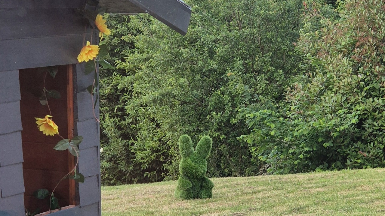 Photo of Outdoor in La Chapelle Montbrandeix