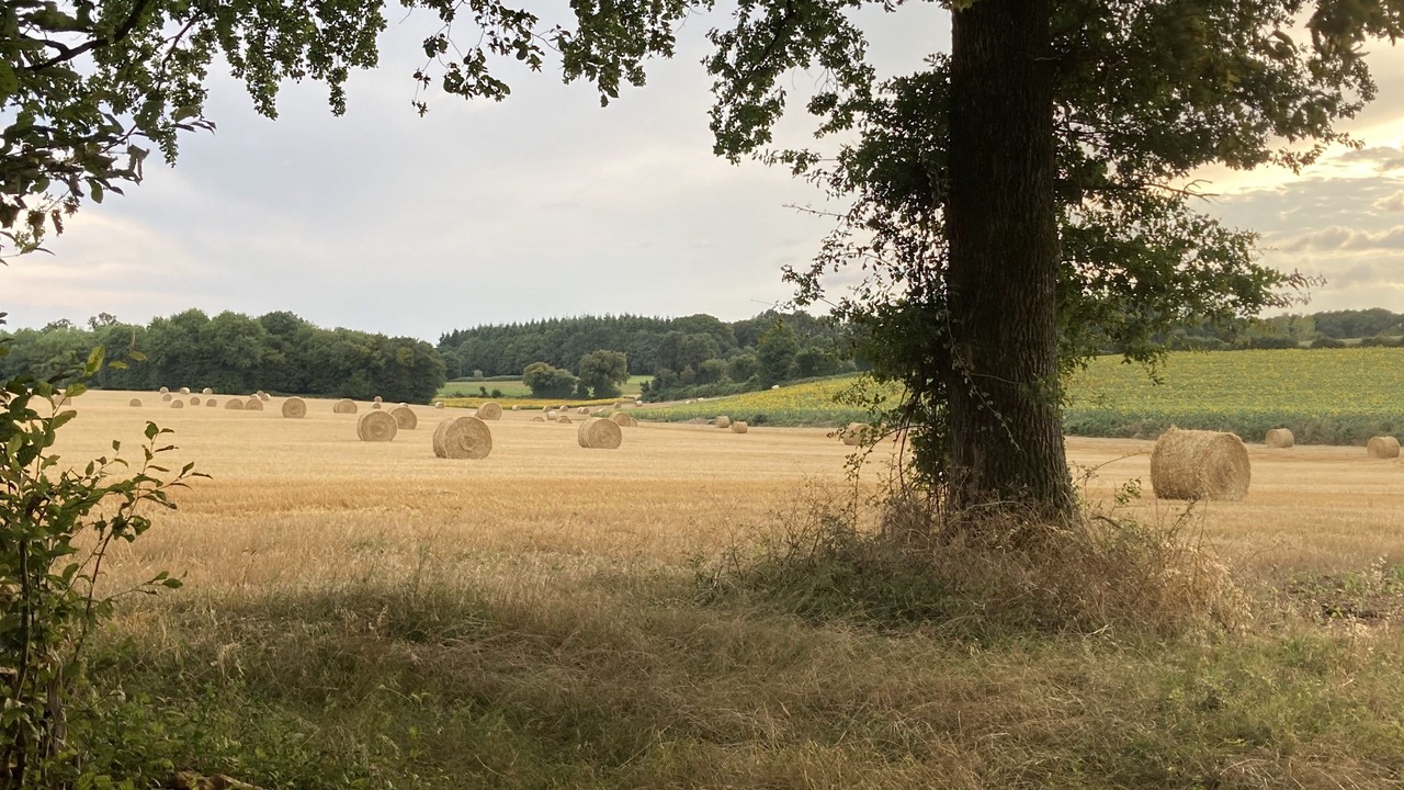 Photo of Others in Maire-Levescault