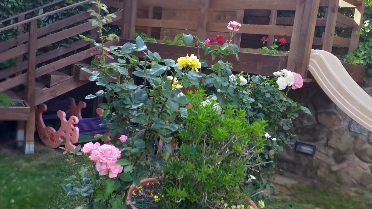 Photo of Outdoor in Fornello