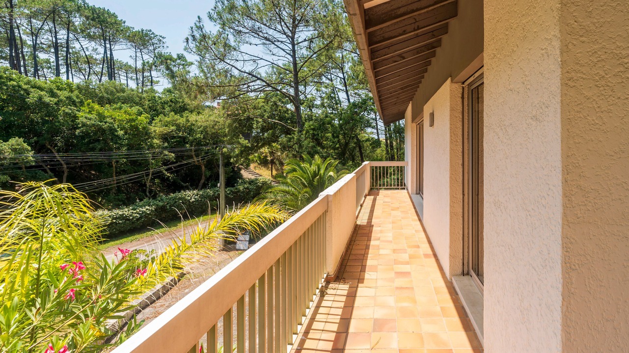 Photo of Outdoor in Soorts-Hossegor
