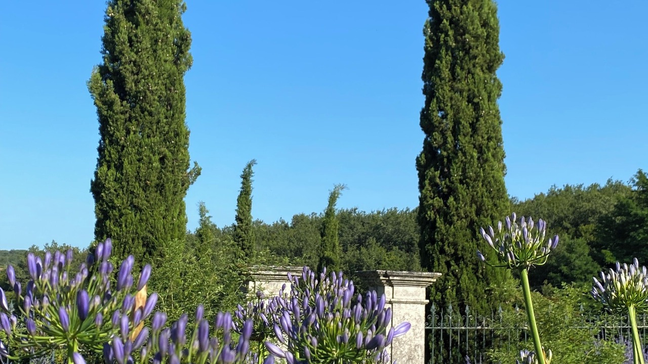 Photo of Outdoor in Rougnac
