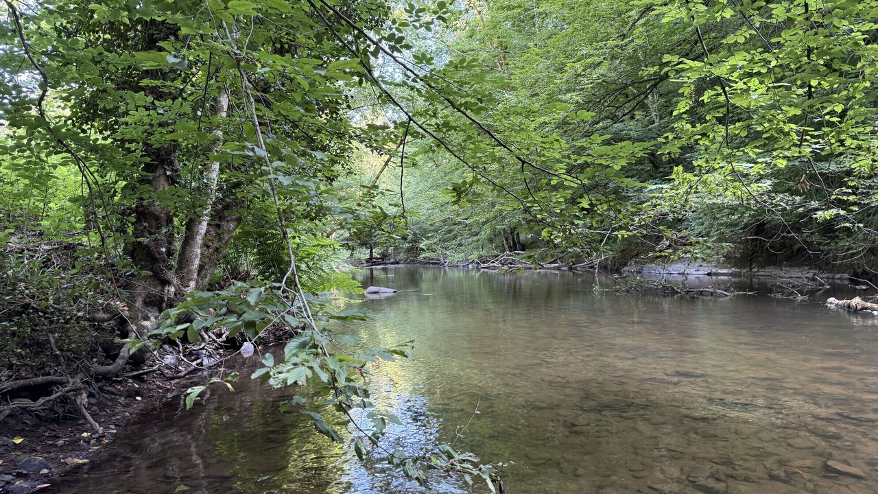 Photo of Others in Saint-Medard-d'Excideuil