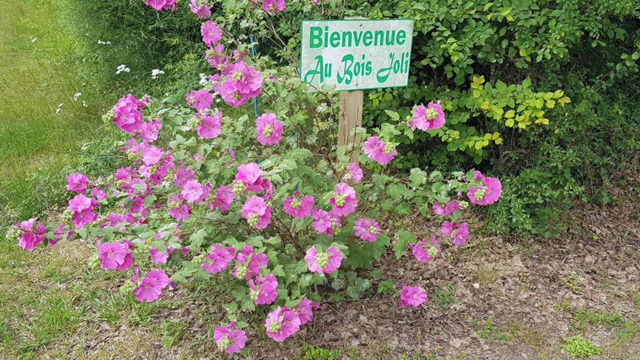 Photo of Outdoor in Bussac-Foret