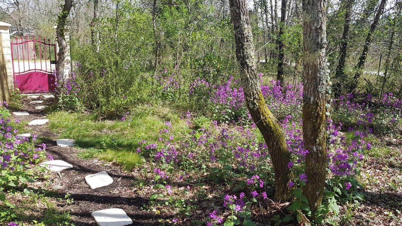 Photo of Outdoor in Bussac-Foret
