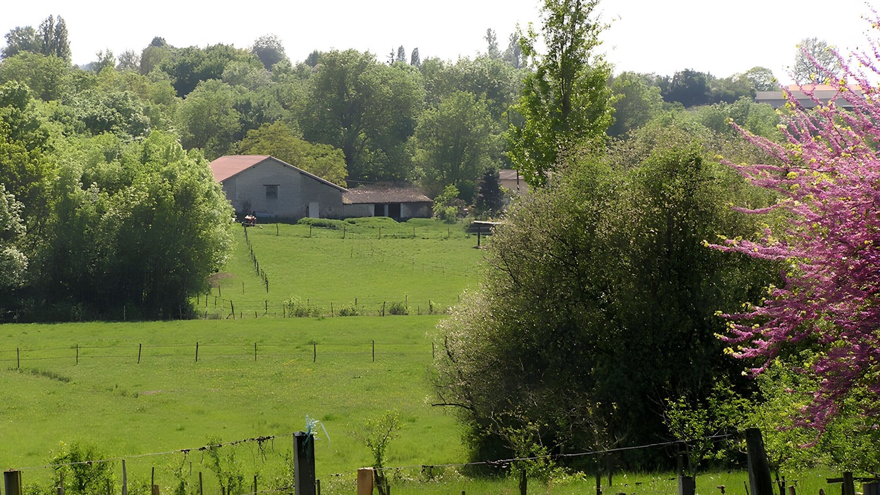 Photo of Others in Verac
