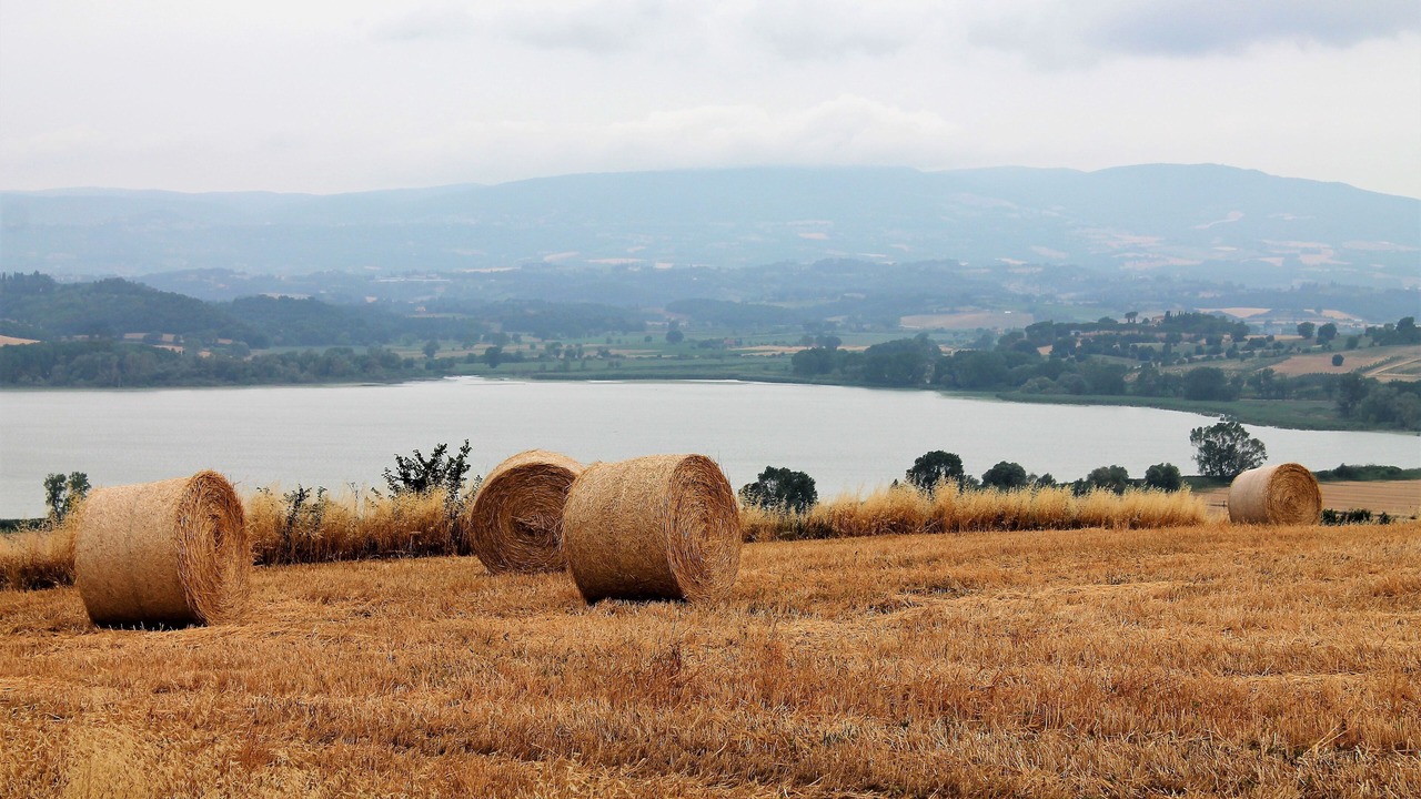 Photo of Others in Chiusi