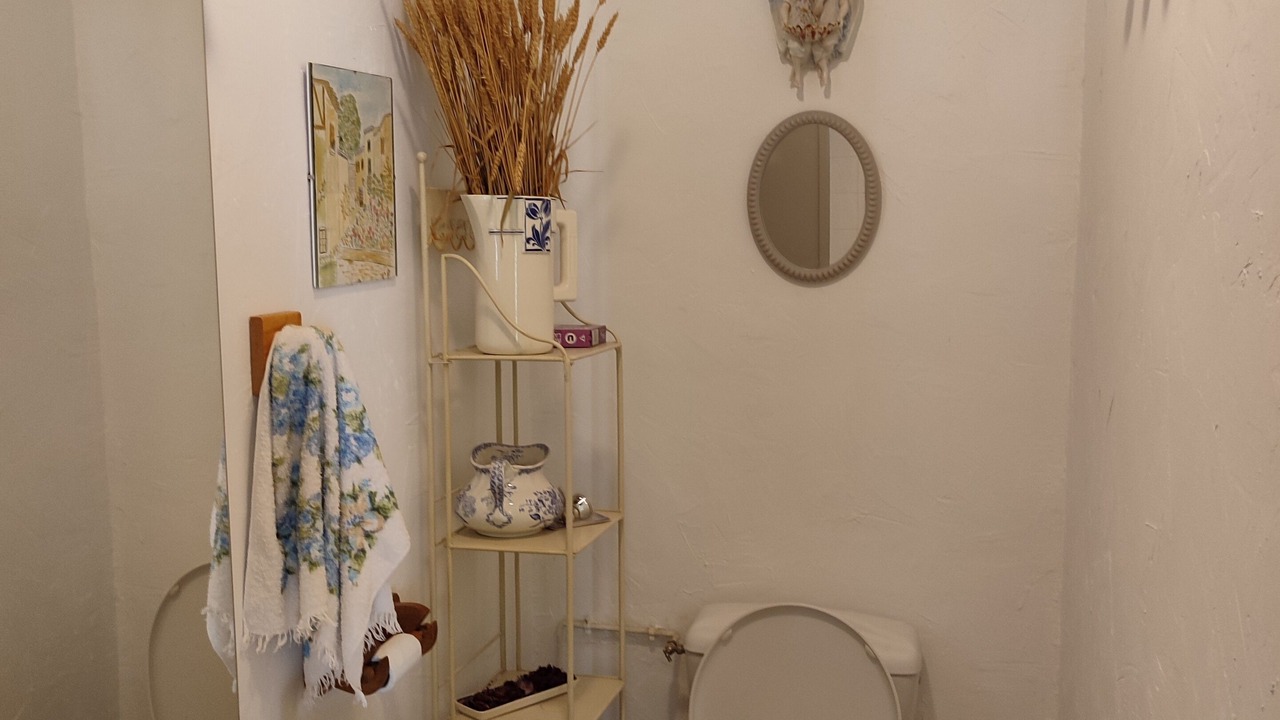 Photo of Bathroom in Sainte-Maure-de-Peyriac