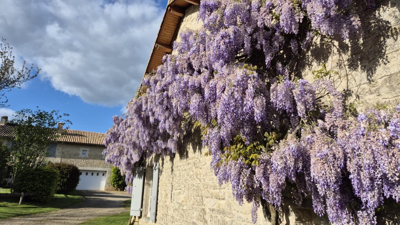 Photo of Outdoor in Lorigne