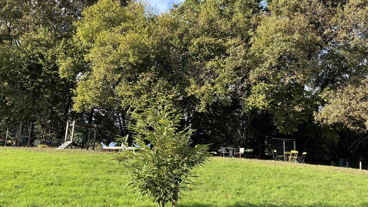 Photo of Outdoor in Saint-Sylvestre