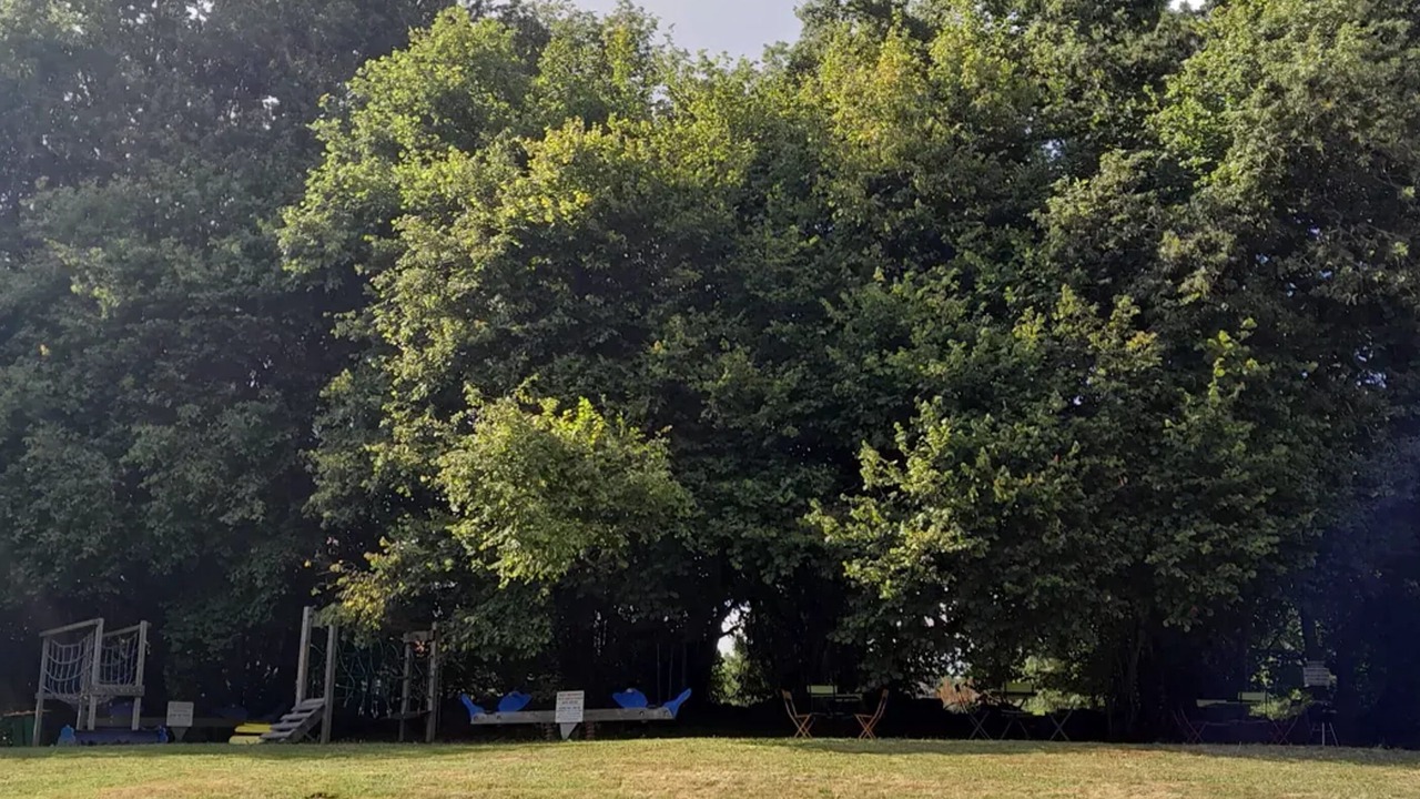 Photo of Outdoor in Saint-Sylvestre