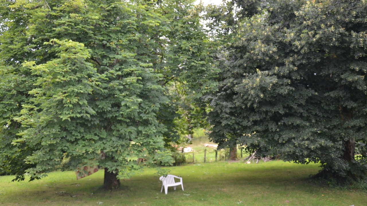 Photo of Outdoor in Orgnac-sur-Vezere