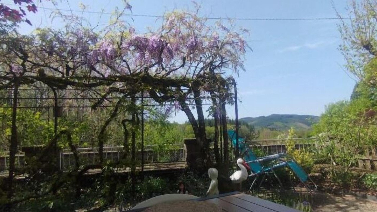 Photo of Outdoor in Saint-Yrieix-le-Dejalat