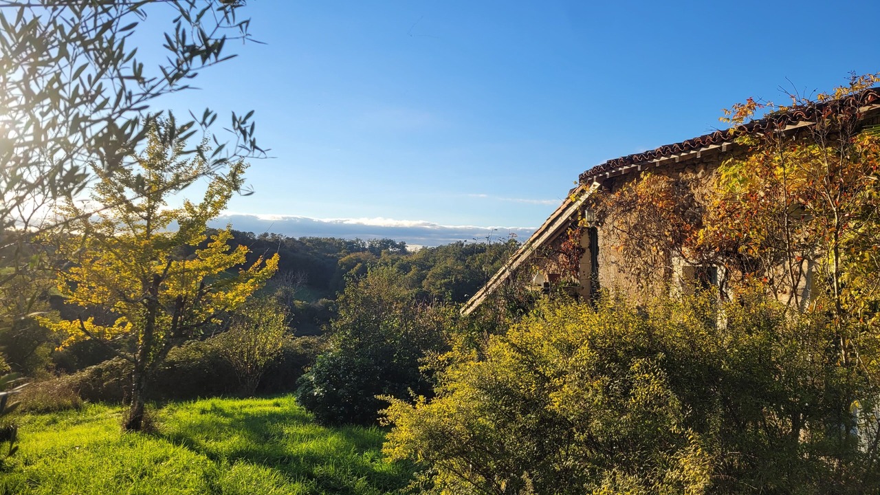Photo of Others in Siorac-de-Riberac