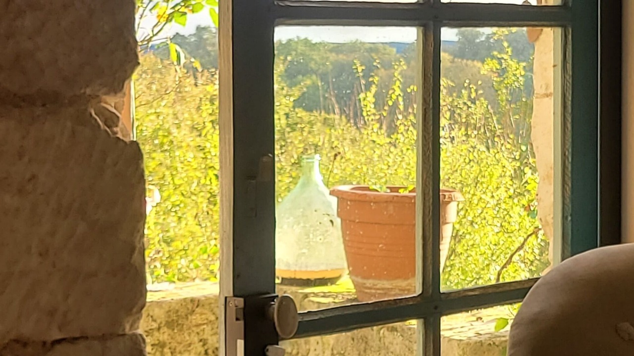 Photo of Others in Siorac-de-Riberac