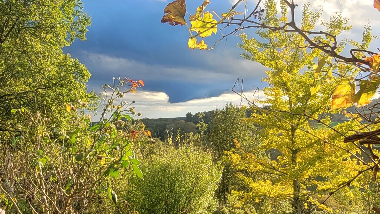 Photo of Outdoor in Siorac-de-Riberac