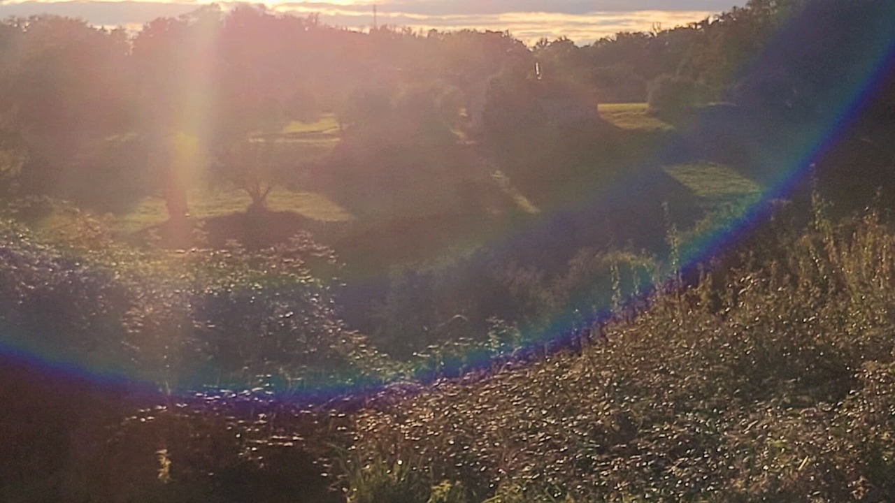 Photo of Others in Siorac-de-Riberac