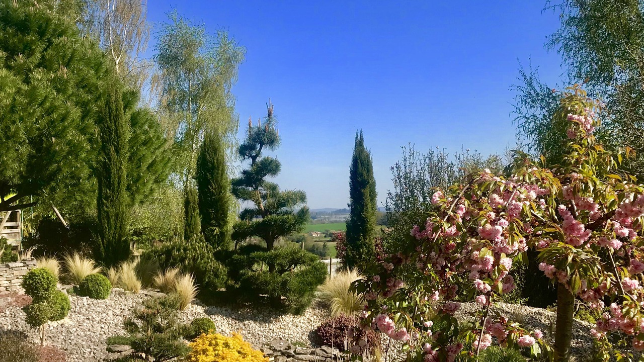 Photo of Outdoor in Bassin de Brive