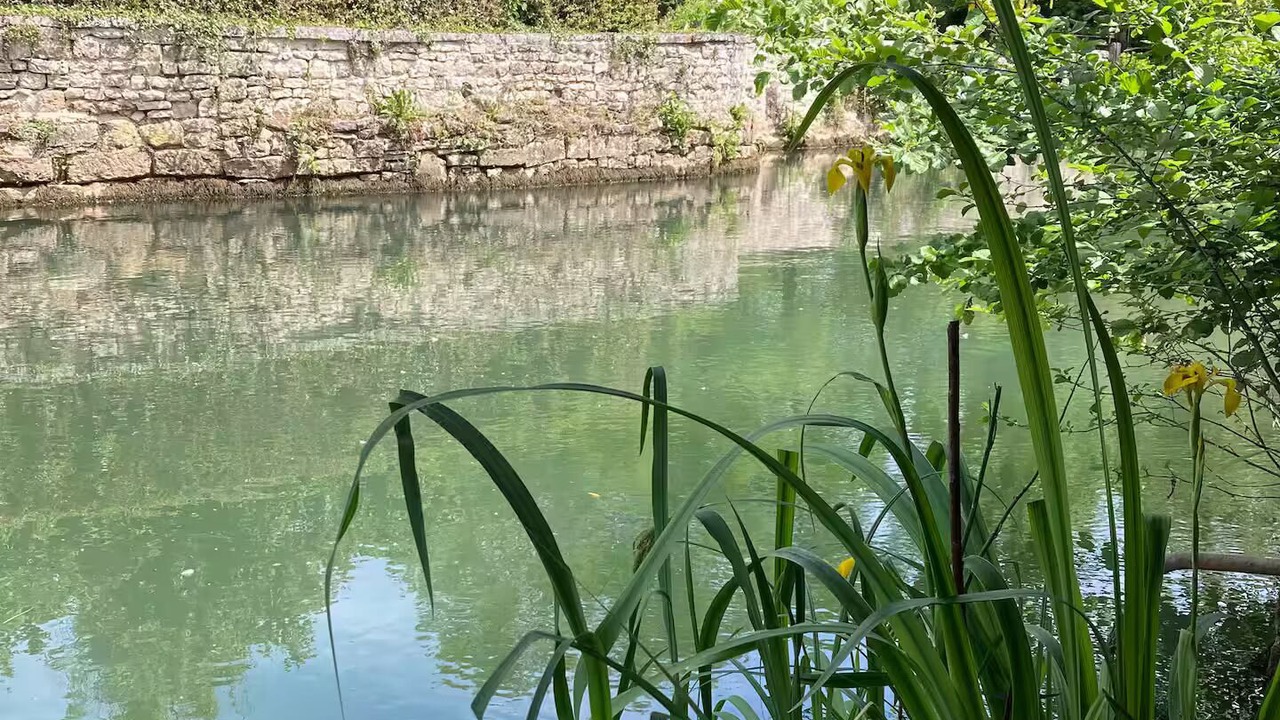 Photo of Outdoor in Mansle