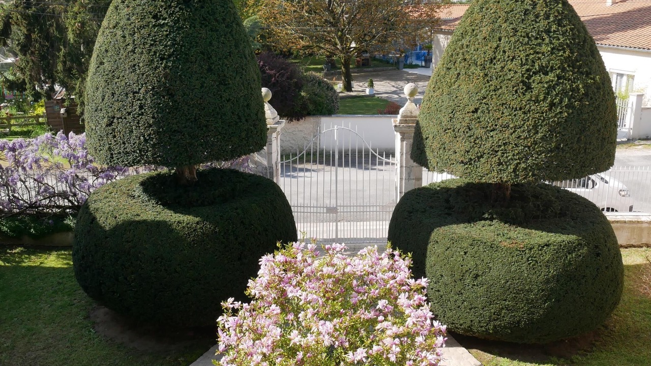 Photo of Outdoor in Tonnay-Charente