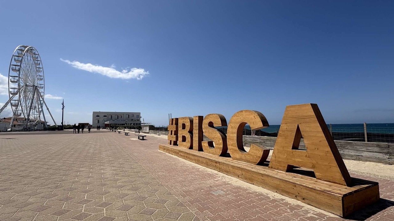 Photo of Others in Biscarrosse Plage