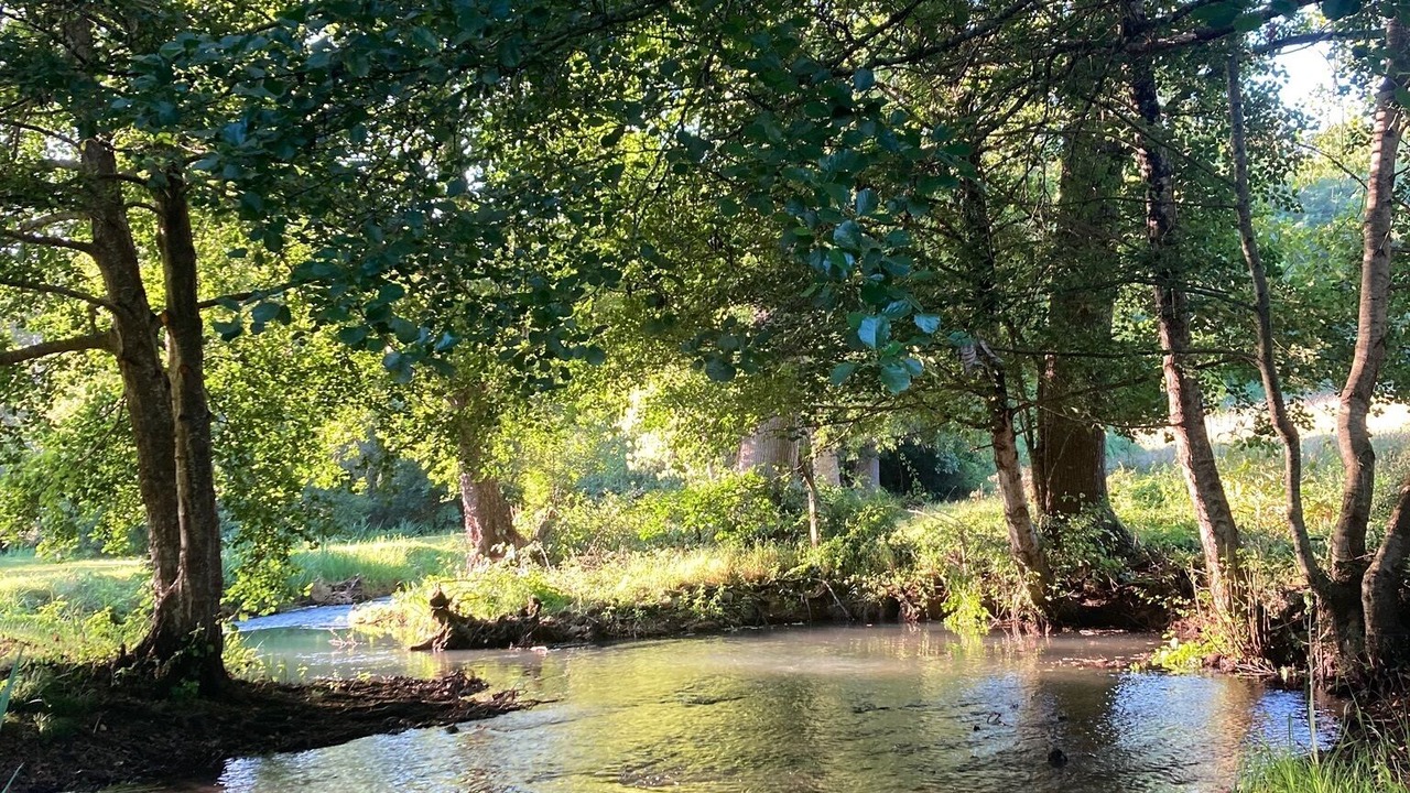 Photo of Others in Nanteuil-en-Vallee