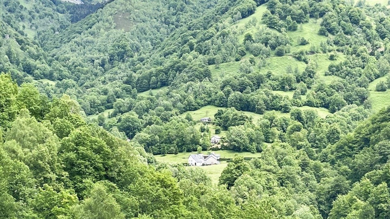 Photo of Others in Aydius