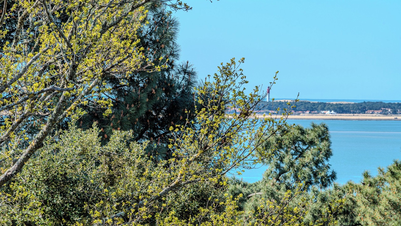 Photo of Others in Pyla-sur-Mer