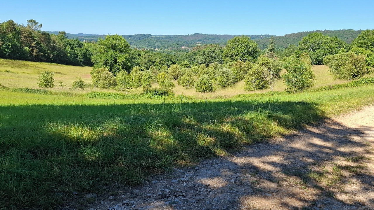 Photo of Others in Valojoulx