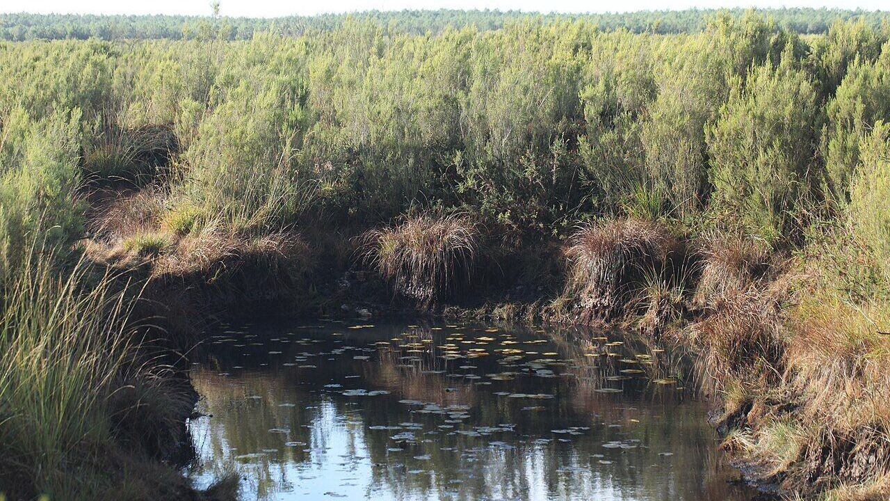 Photo of Others in Bignoux