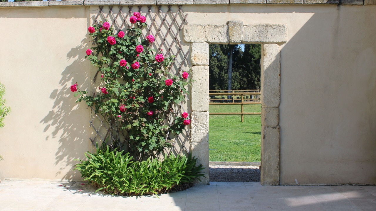 Photo of Outdoor in Chateaurenard