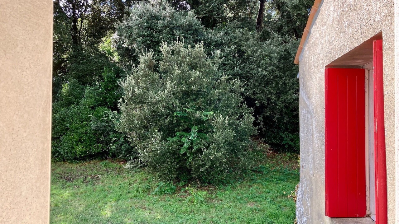 Photo of Outdoor in Saint-Trojan-les-Bains