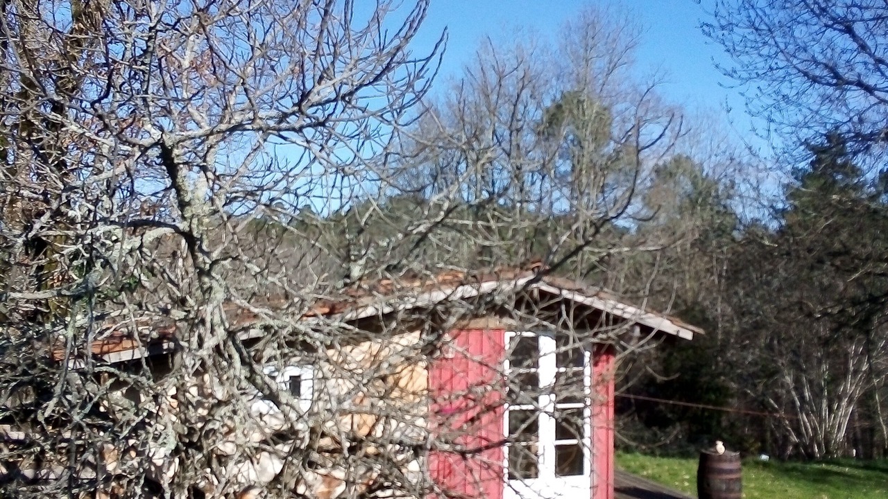 Photo of Outdoor in Champagnac-de-Belair