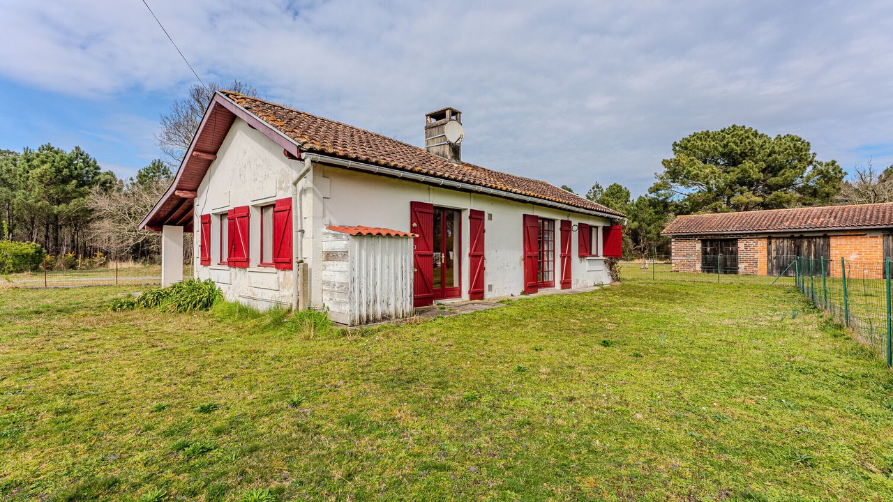 Photo of Outdoor in Sanguinet