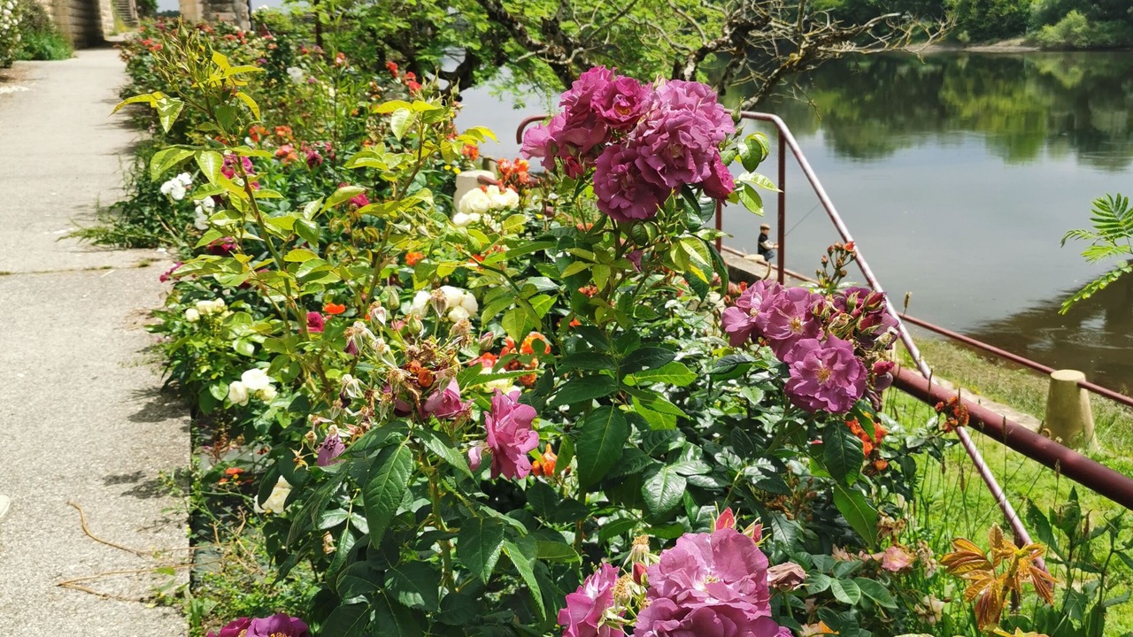 Photo of Outdoor in Sainte-Terre