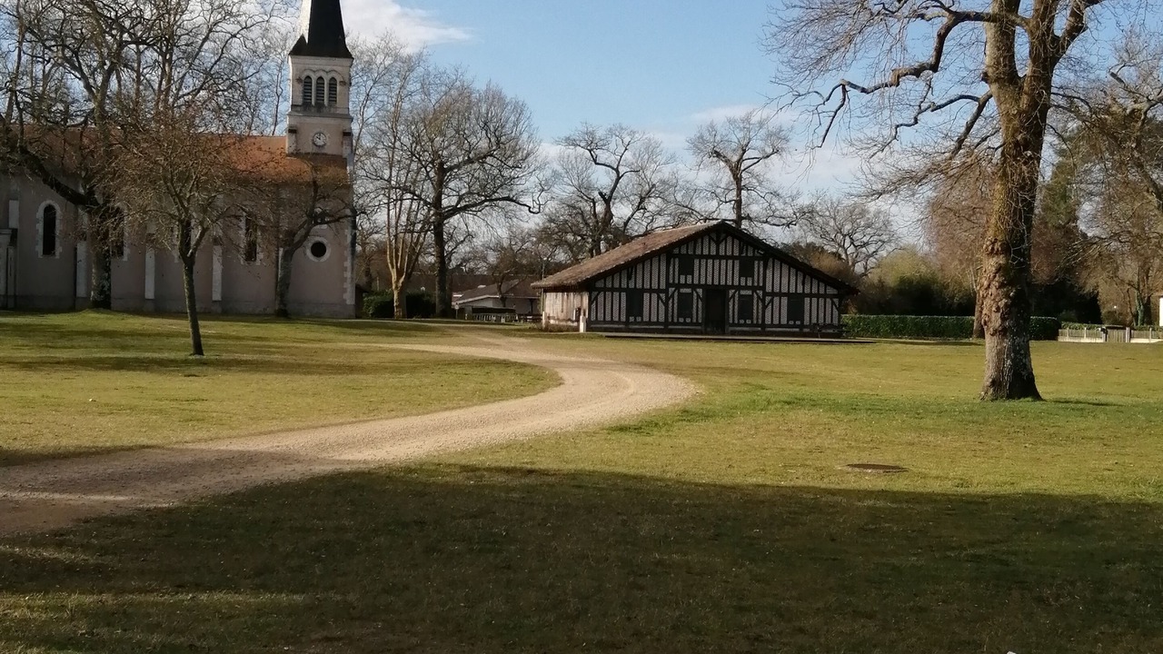 Photo of Outdoor in Bias