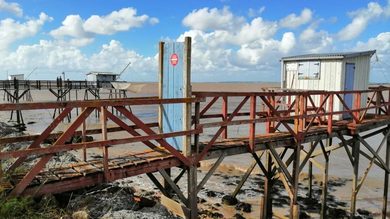Photo of Others in Saint-Laurent-de-Medoc