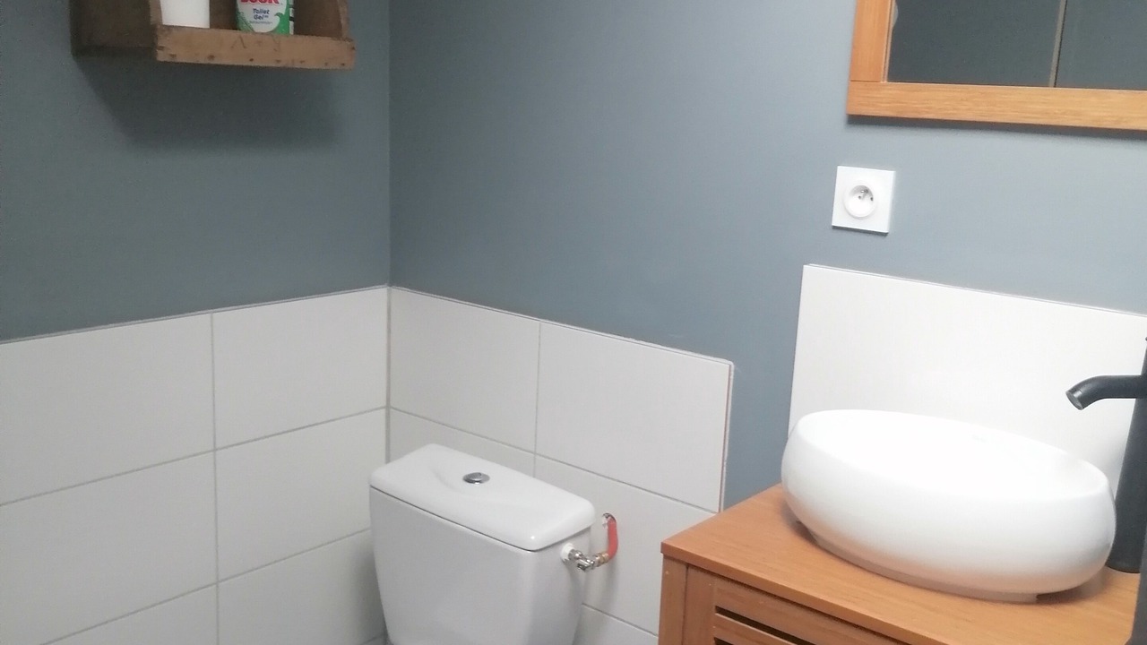 Photo of Bathroom in Chalandray