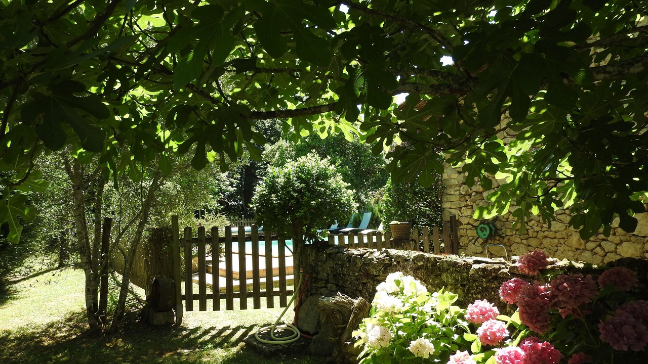 Photo of Outdoor in Frontenac