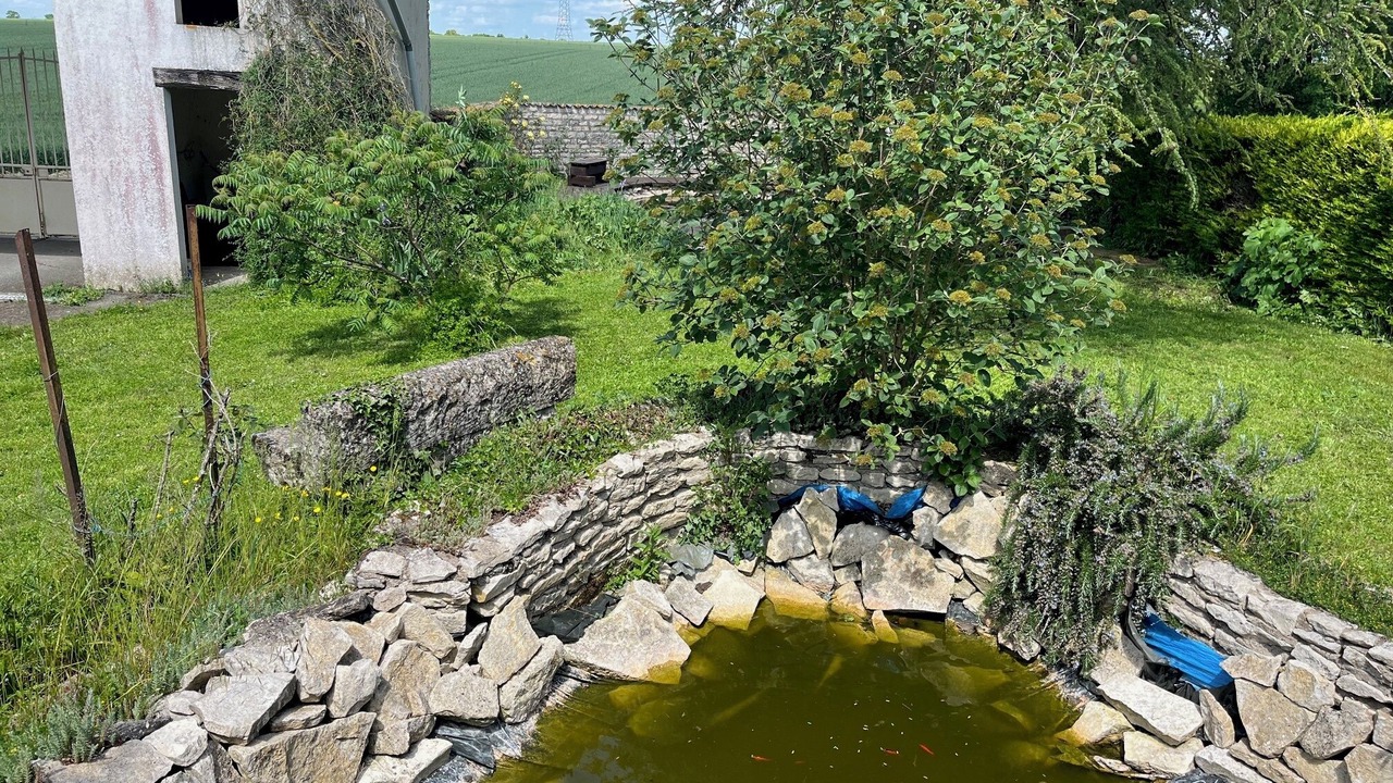 Photo of Outdoor in Asnieres-en-Poitou