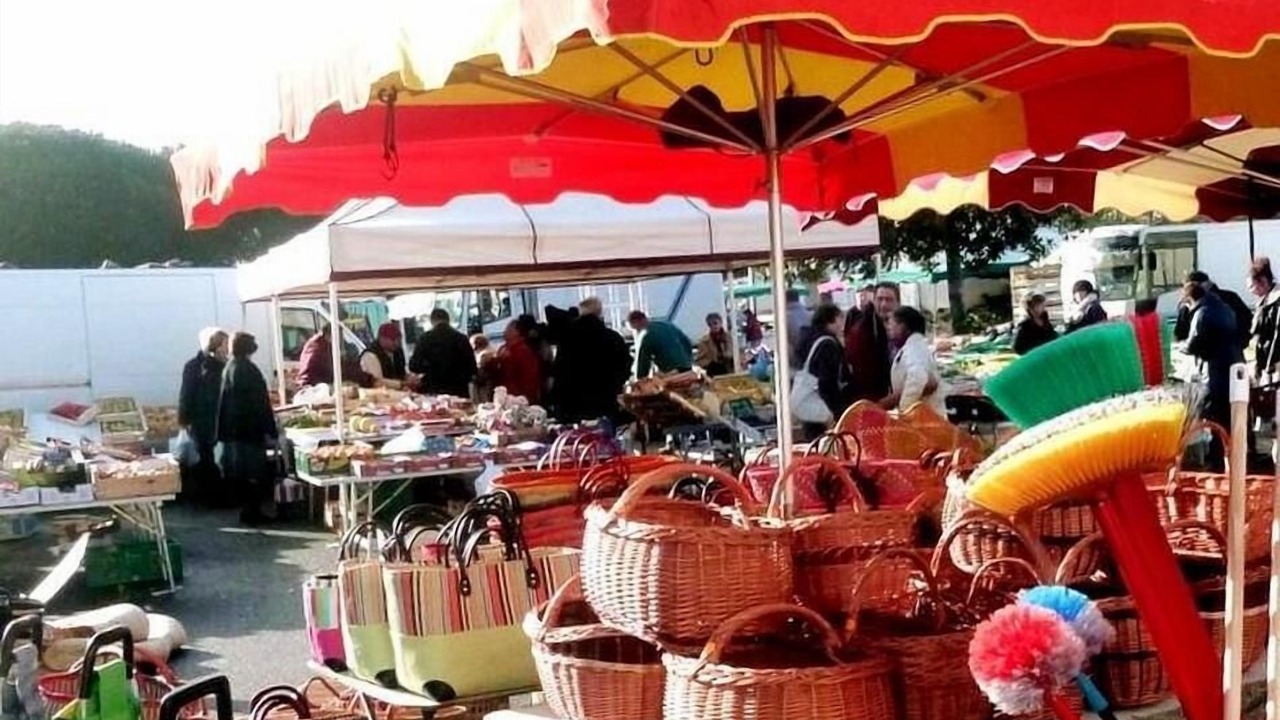 Photo of Others in Escource