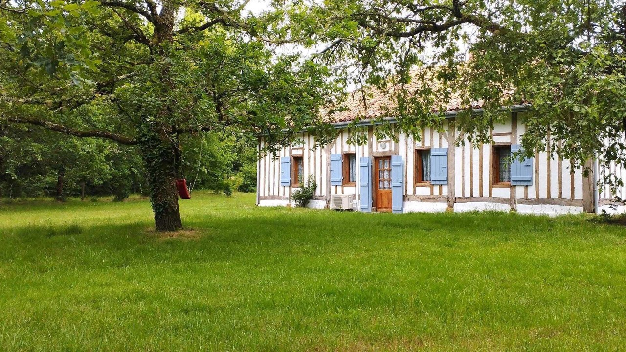 Photo of Outdoor in Sabres